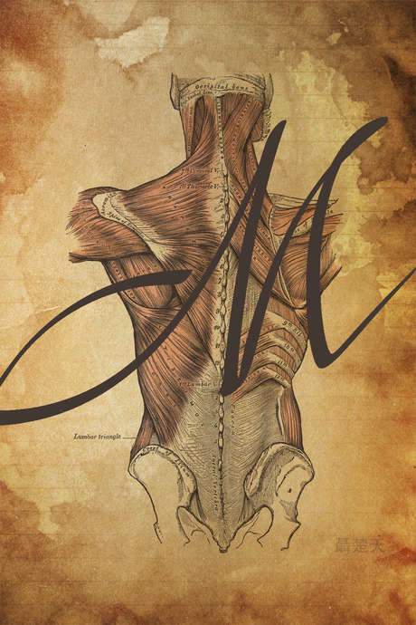 M Is for Man, Music and Mozart